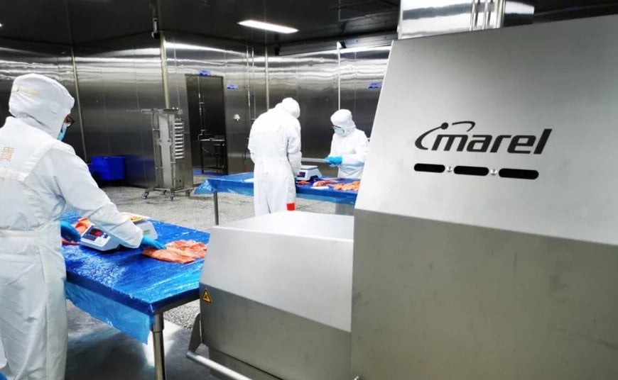 Marel and Tianyun partner to pioneer advanced processing techniques